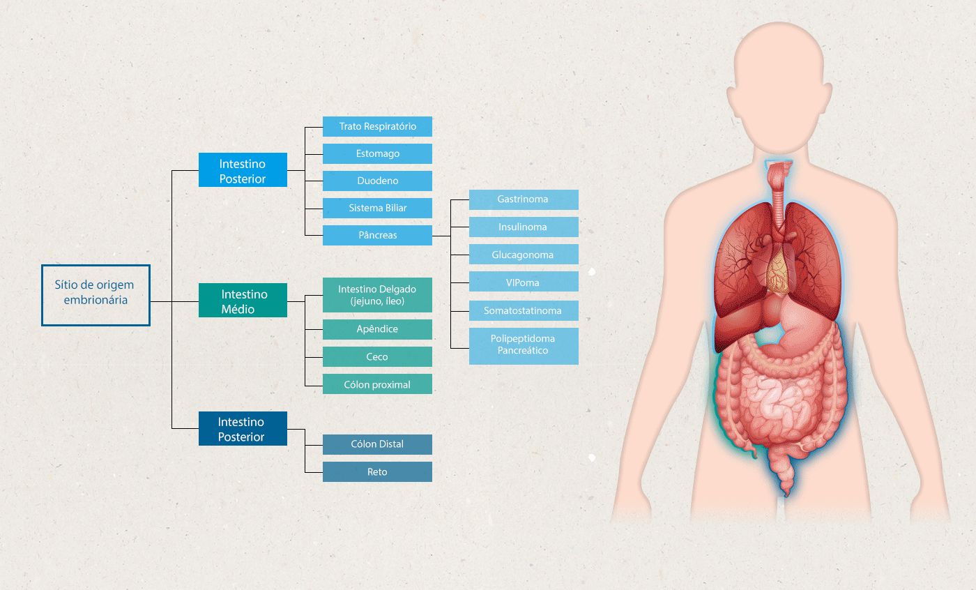 lwn-illustrations-v3